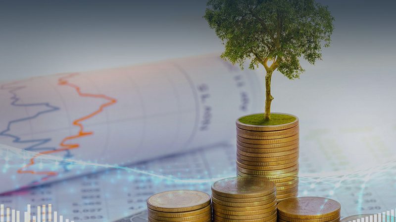 广州可行性研究报告代写怎么选
